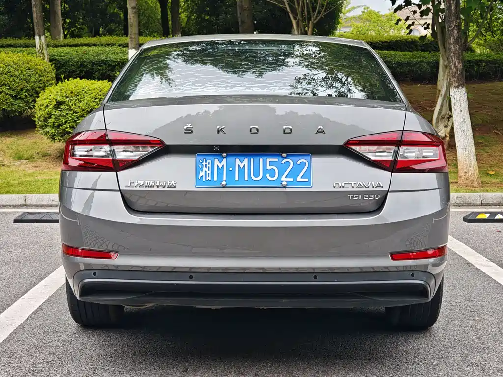 Skoda Octavia 2019
