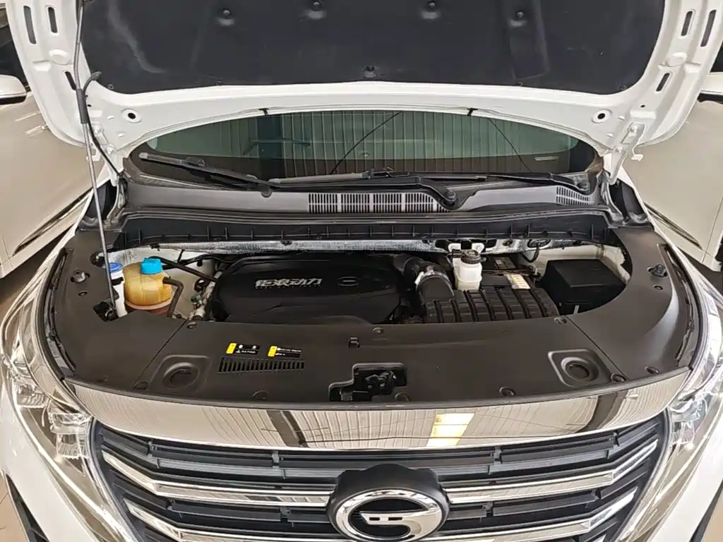 GAC Motor Trumpchi M8 2022 — фото 20