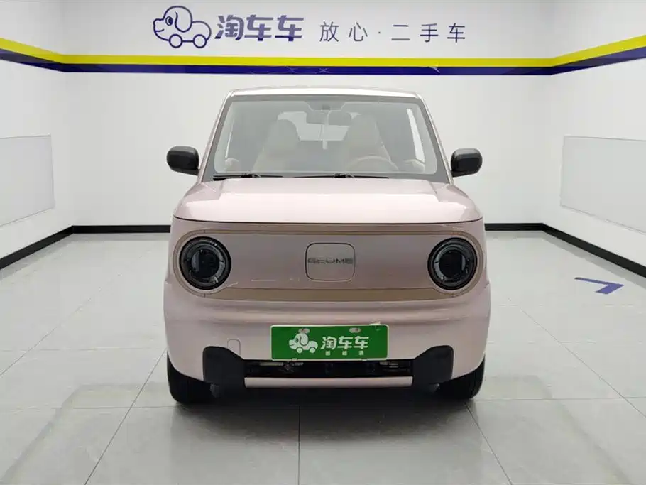 Galaxy Panda 2023