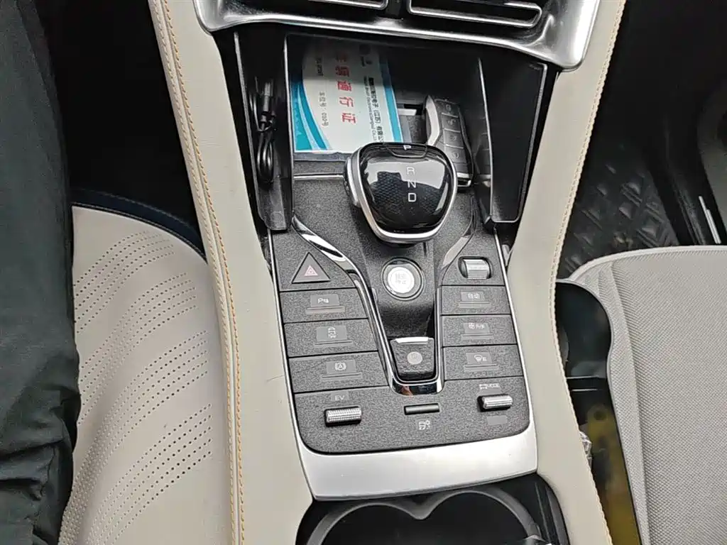 BYD PLUS New Energy 2022 — фото 14