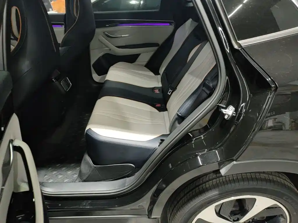 BYD PLUS New Energy 2022 — фото 16