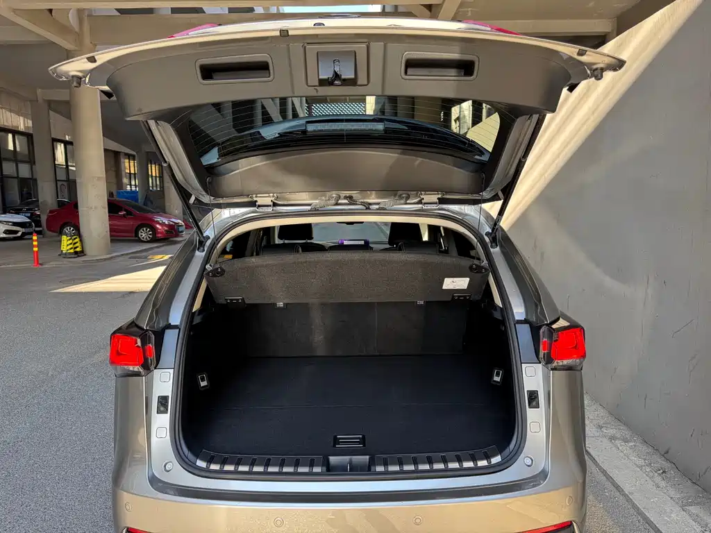 Lexus NX 2020 — фото 17
