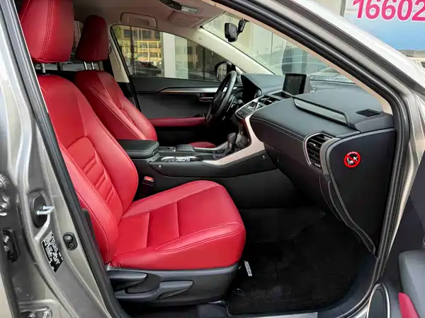 Lexus NX 2020