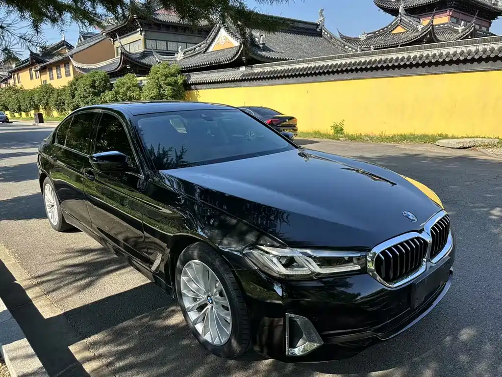 BMW 5 Series New Energy 2021 — фото 3