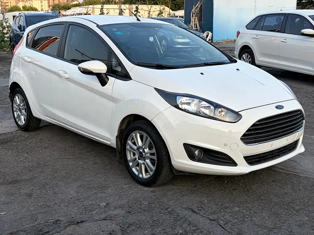 Ford Fiesta 2014 — фото 3