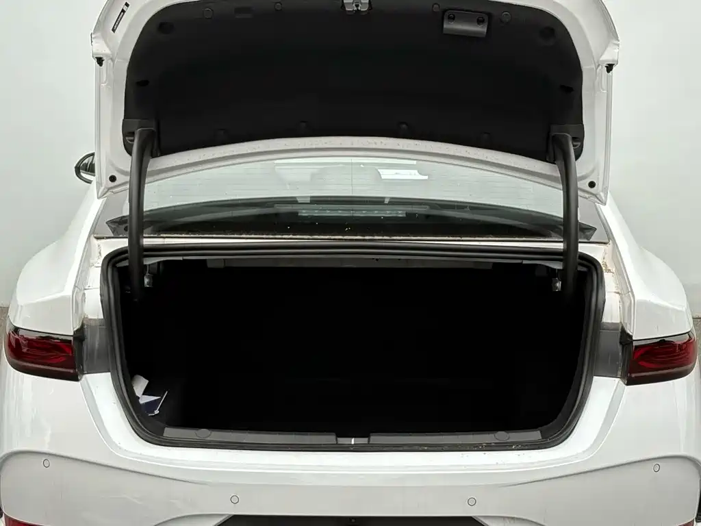 BYD Qin PLUS 2025 — фото 20