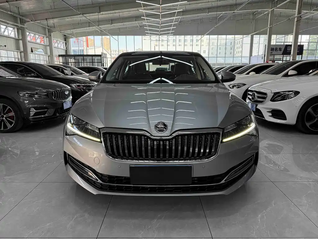 Skoda Speedy 2024