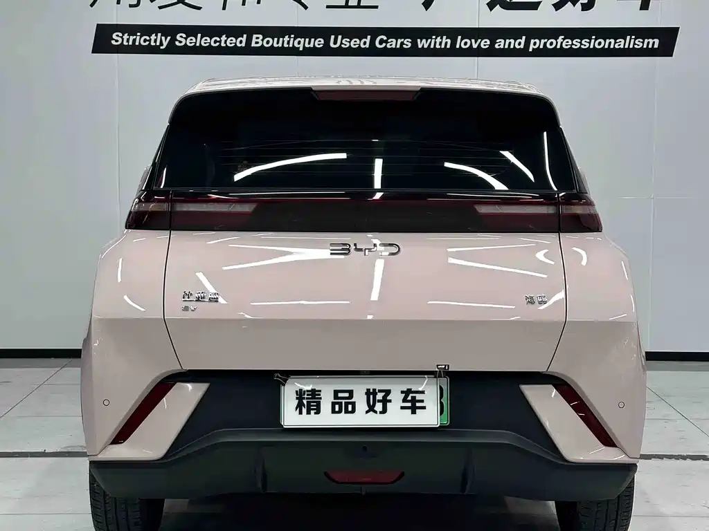 BYD Seagull 2024