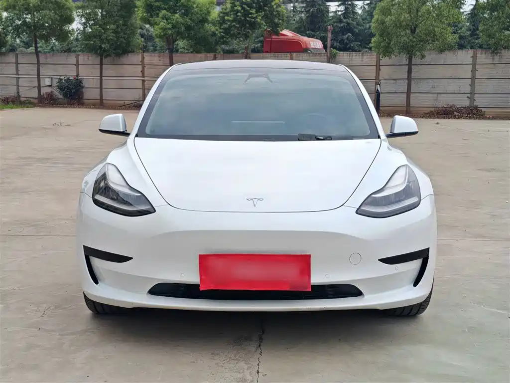 Tesla Model 3 2020 — фото 3