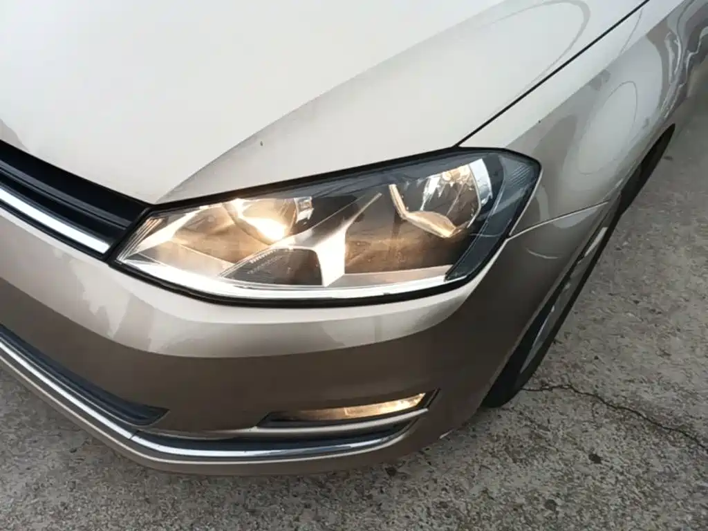 Volkswagen Golf 2015 — фото 24
