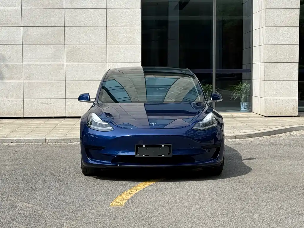 Tesla Model 3 2020 — фото 2