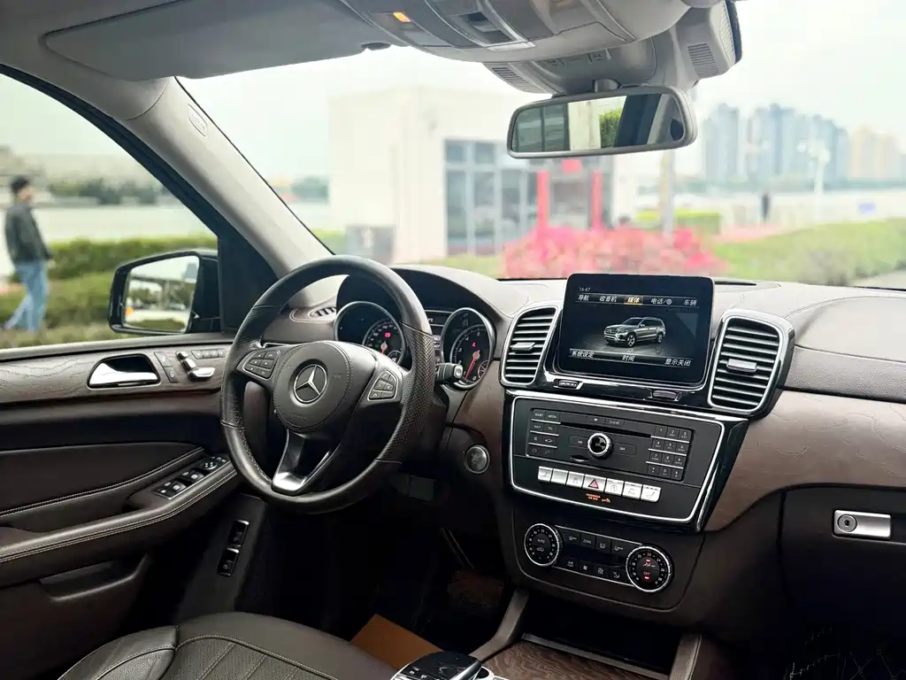 Mercedes-Benz GLS 2016 — фото 19