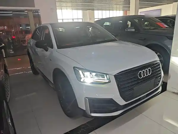Audi Q2L 2019