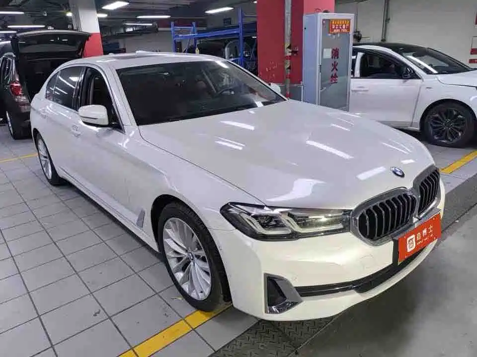 BMW 5 Series New Energy 2021