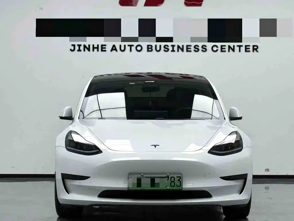 Tesla Model 3 2021 — фото 2