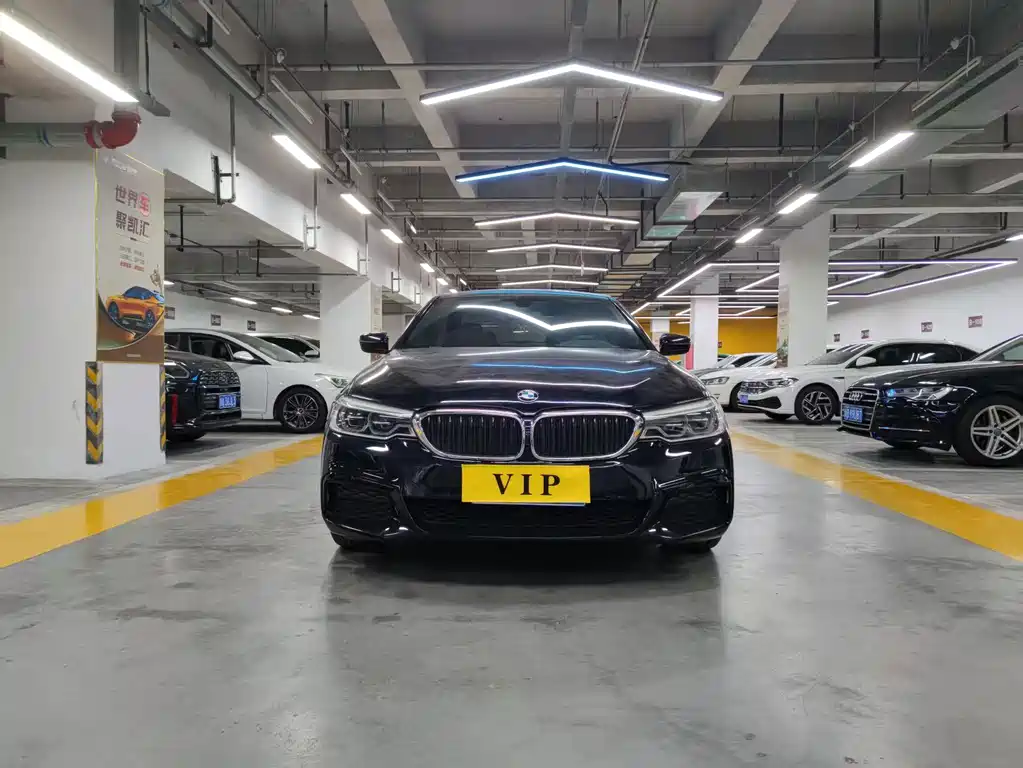 BMW 5 Series 2019