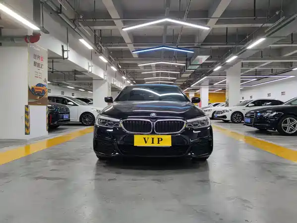 BMW 5 Series 2019
