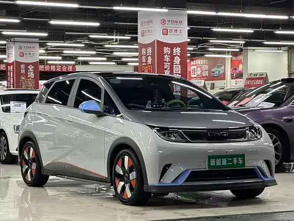 BYD Dolphin 2022