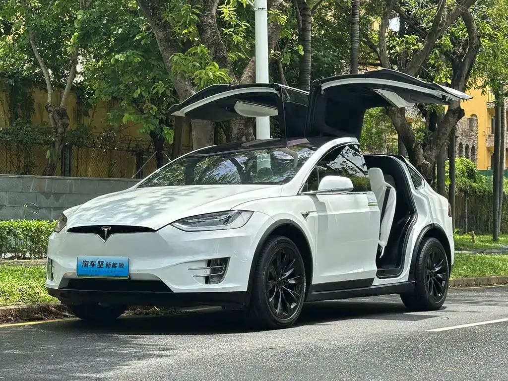 Tesla Model X 2016 — фото 1