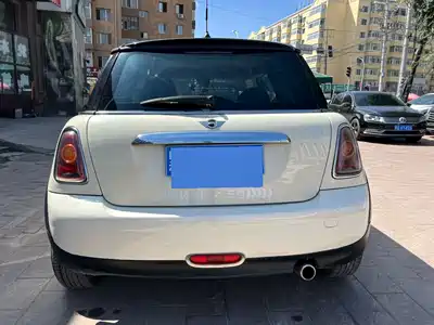 MINI MINI 2010