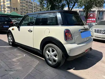 MINI MINI 2010