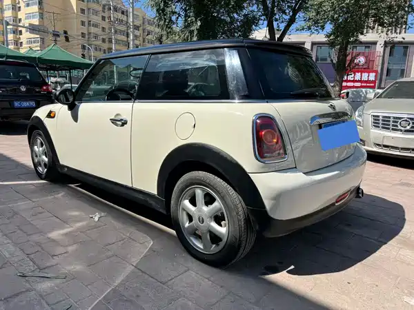 MINI 2010