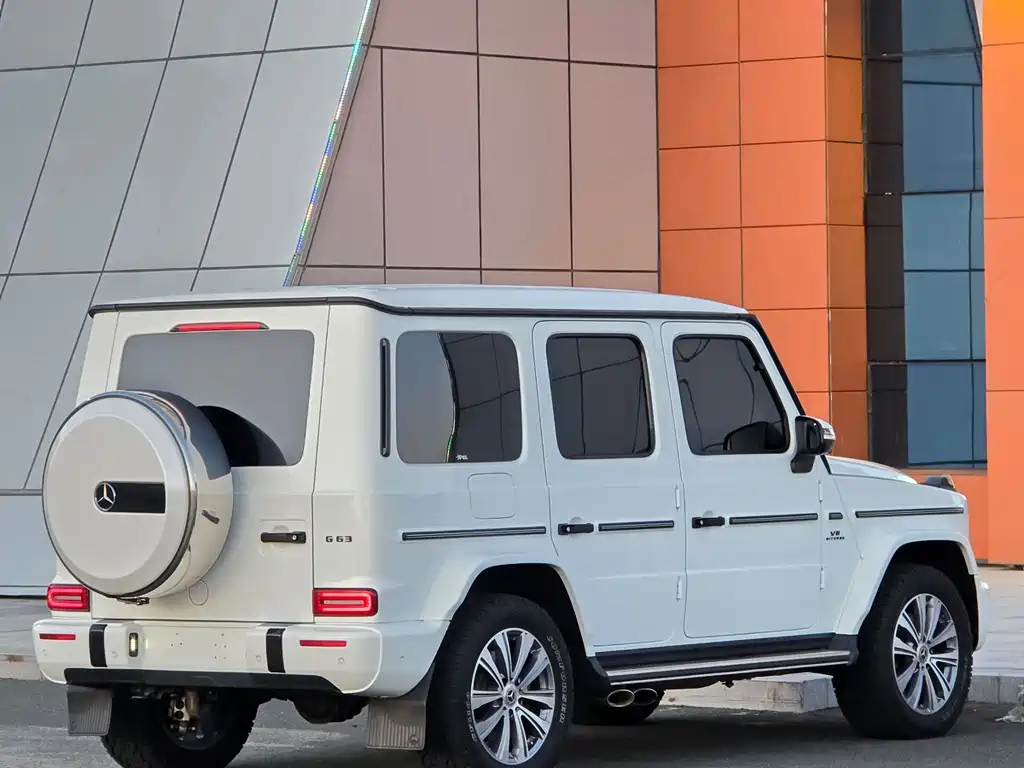 Mercedes-Benz G-Class 2021 — фото 16