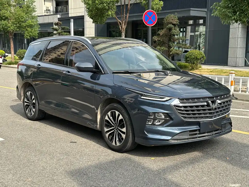 Wuling Capgemini 2022