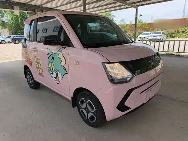 Dongfeng Scenery MINIEV 2022