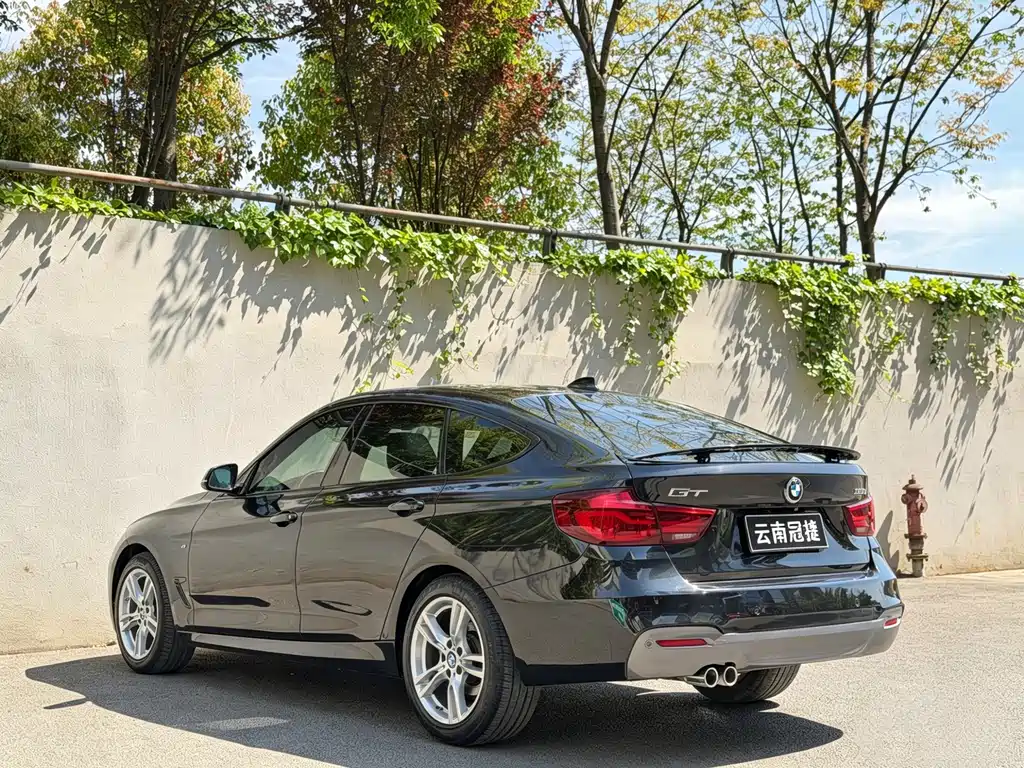BMW 3 Series GT 2020 — фото 7