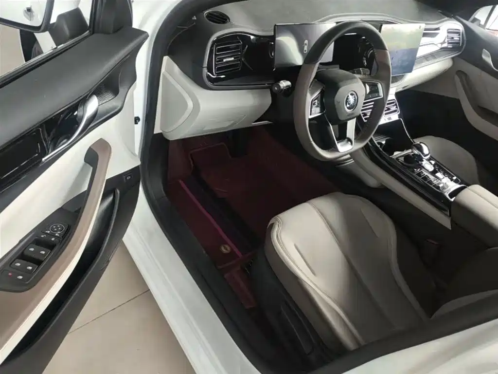 BYD Qin PLUS 2023 — фото 16