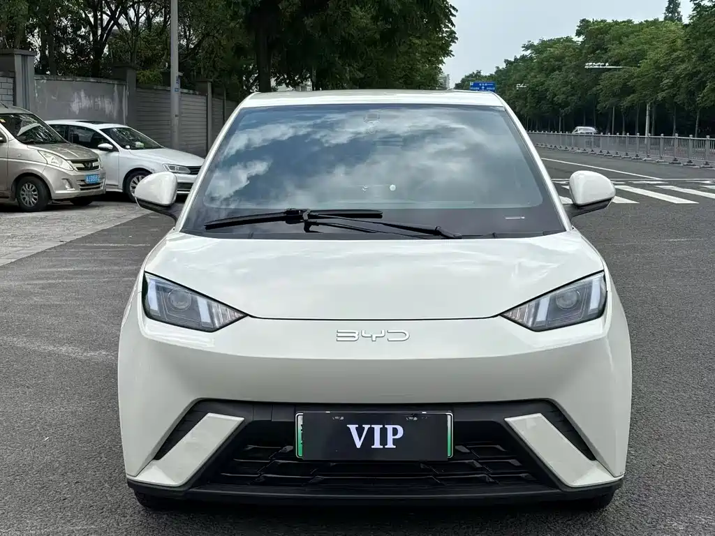 BYD Seagull 2024