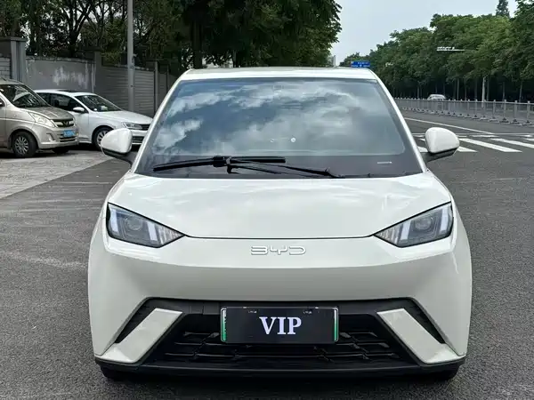 BYD Seagull 2024