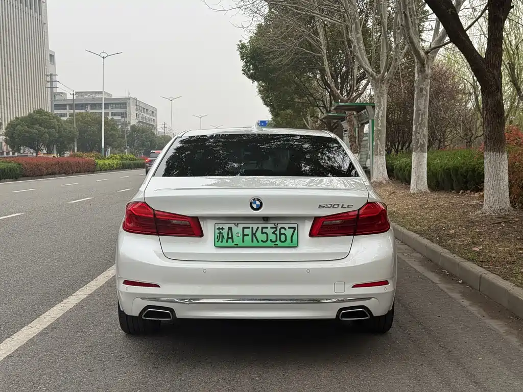 BMW 5 Series New Energy 2019