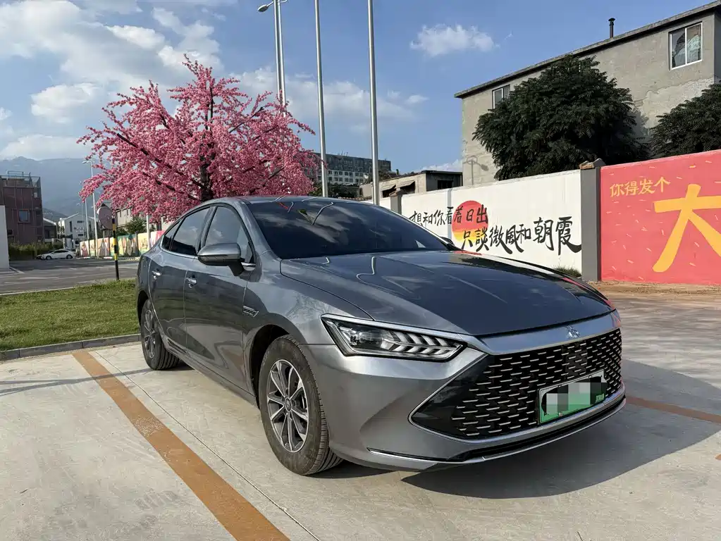 BYD Qin PLUS 2024