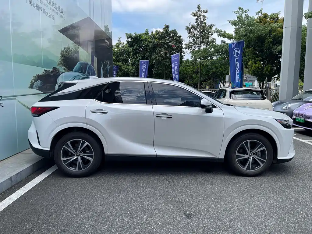 Lexus RX 2024 — фото 13