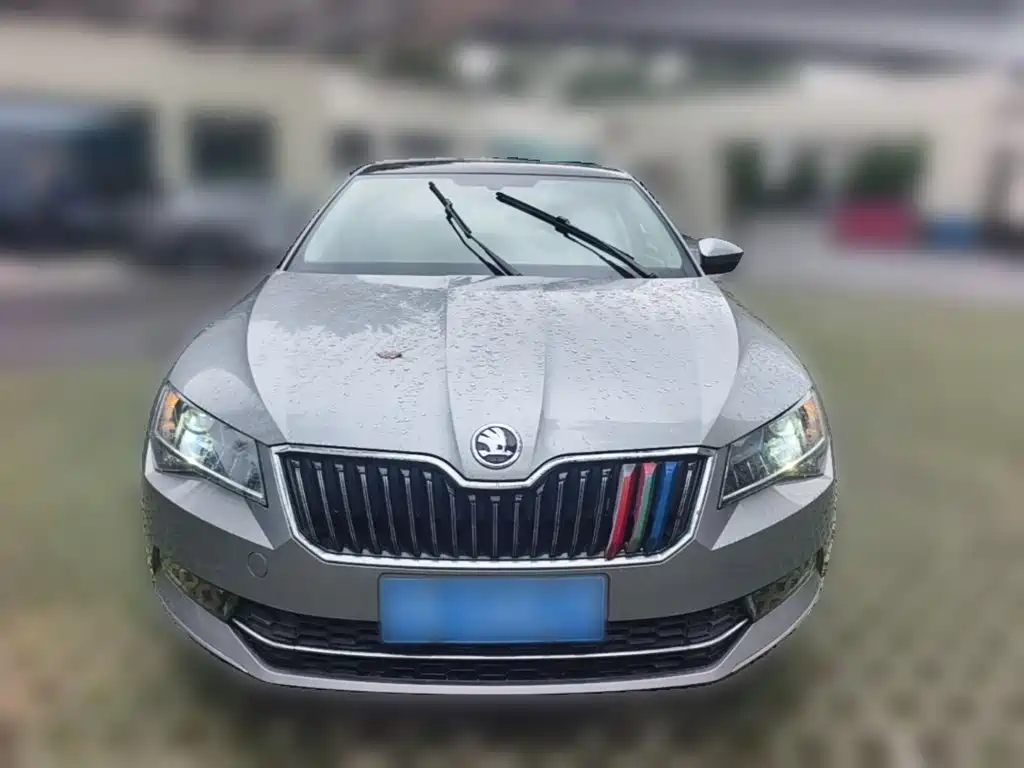 Skoda Speedy 2017 — фото 24