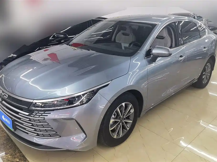 BYD Destroyer 05 2024 — фото 1