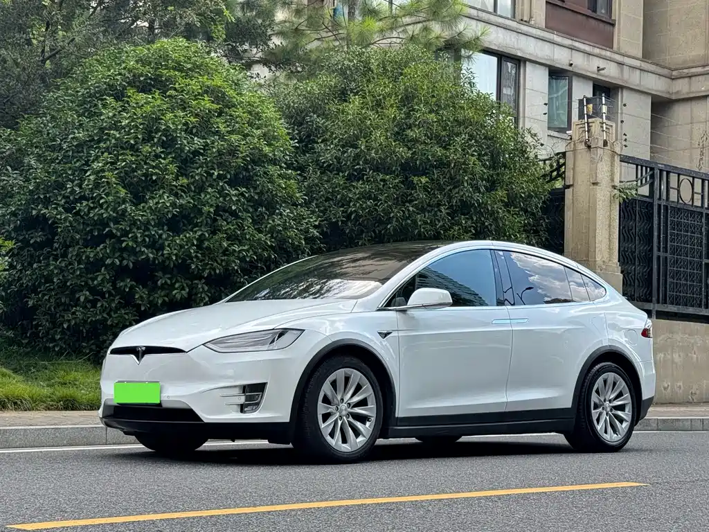 Tesla Model X 2018 — фото 2