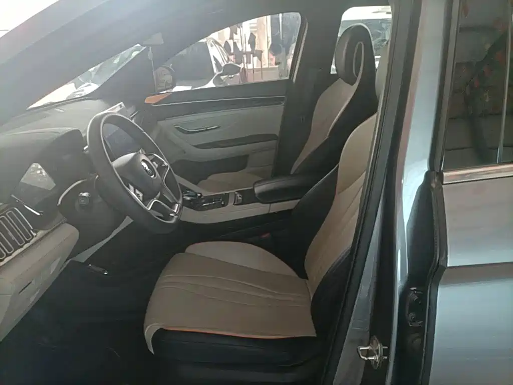 BYD Song PLUS New Energy 2023 — фото 15