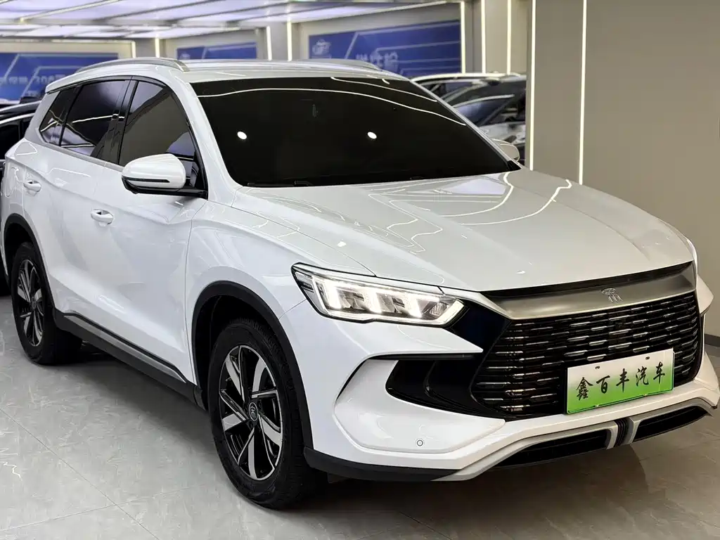 BYD Pro New Energy 2025 — фото 3