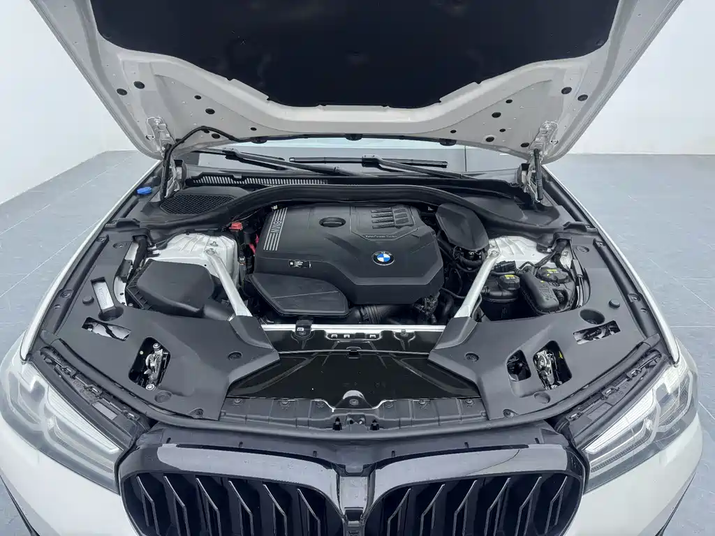 BMW 5 Series 2021