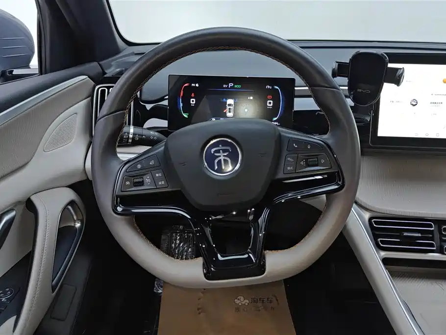 BYD Pro New Energy 2025 — фото 15