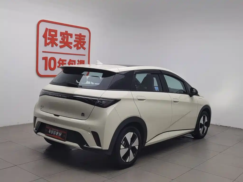 BYD Dolphin 2024