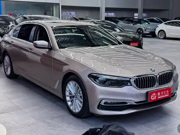 BMW 5 Series New Energy 2019
