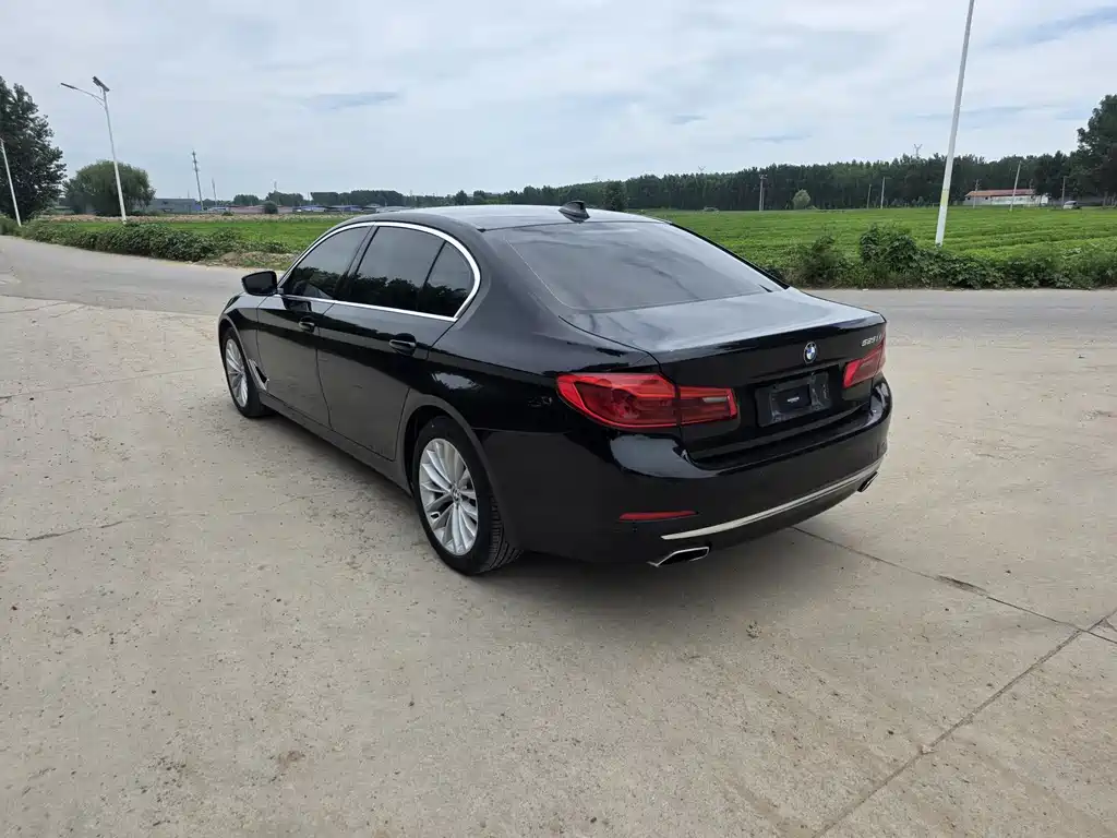 BMW 5 Series 2019