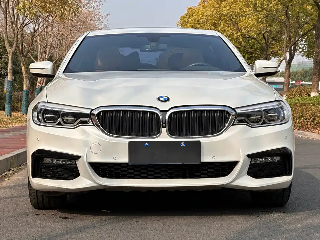 BMW 5 Series 2018 — фото 2