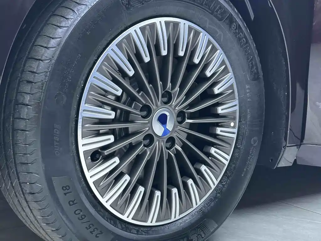 Denza D9 2024