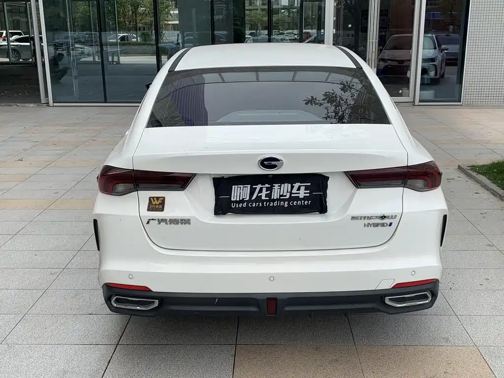 GAC Motor Shadow Leopard 2023 — фото 8