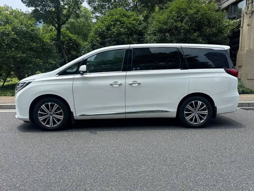 GAC Motor Trumpchi M8 2019